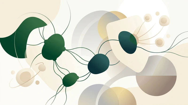 A calm abstract composition of soft orbiting shapes in deep green and cream tones
