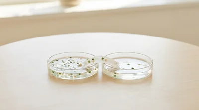 A clean conceptual illustration of an interface separating two regions, with flowing dots in green and cream