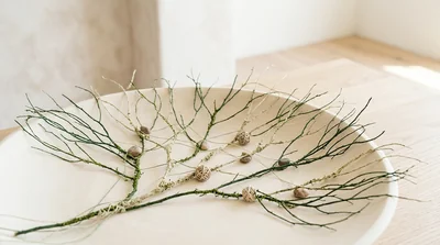 A conceptual illustration of interlocking organic shapes in deep green and warm cream tones